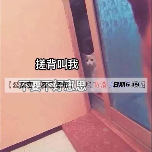 搓背叫我