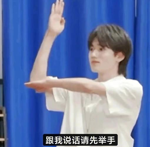 跟我说话请先举手