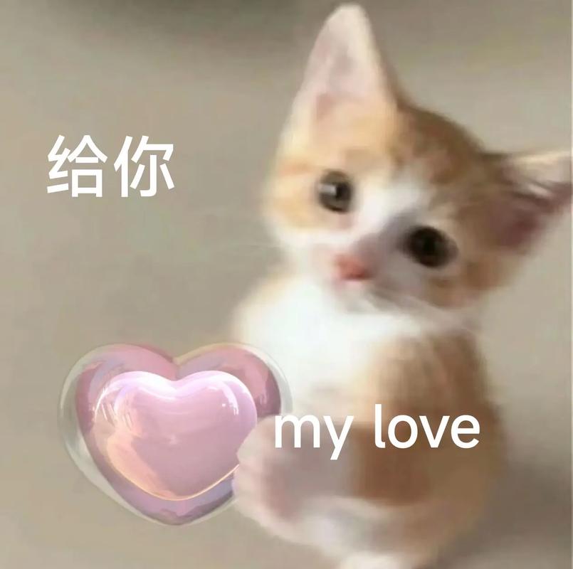 给你 mylove