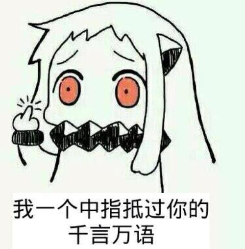 我一个中指抵过你的 千言万语