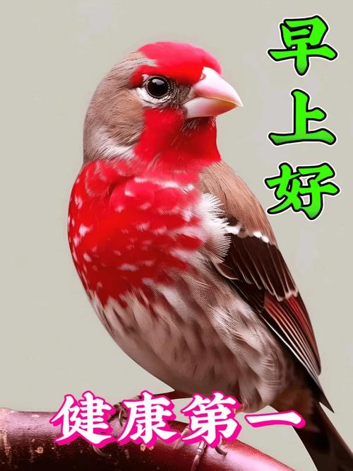 早上好 健康第一