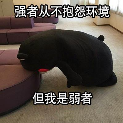 强者从不抱怨环境 但我是弱者