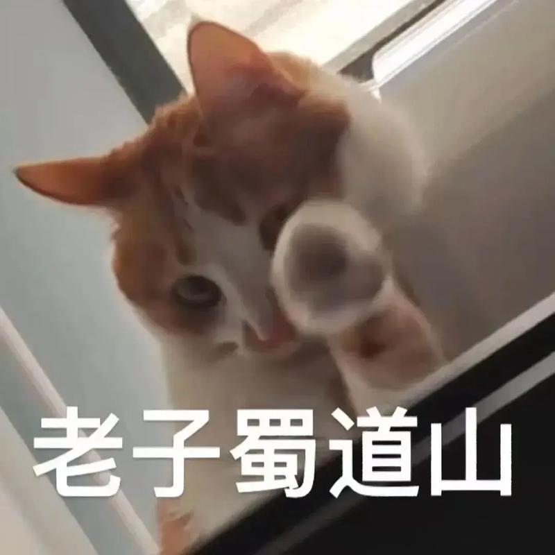 老子蜀道山
