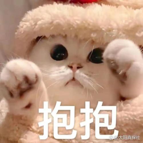 抱抱 大阳真探社