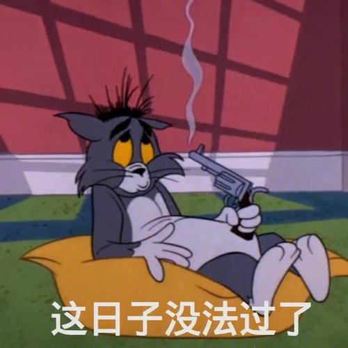 这日子没法过了