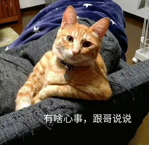 有啥心事，跟哥说说