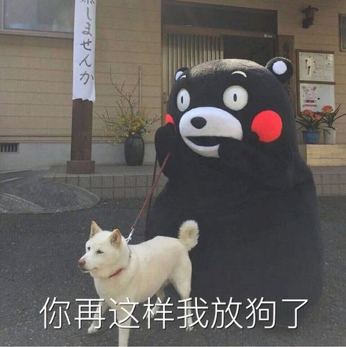 你再这样我放狗了