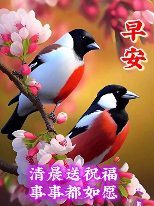 早安 清晨送祝福 事事都如愿
