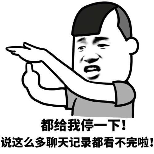 都给我停一下！ 说这么多聊天记录都看不完啦！