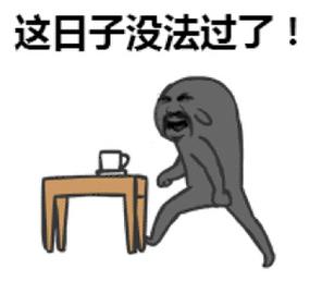 这日子没法过了！