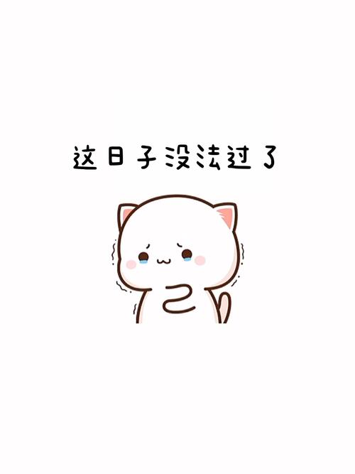 这日子没法过了