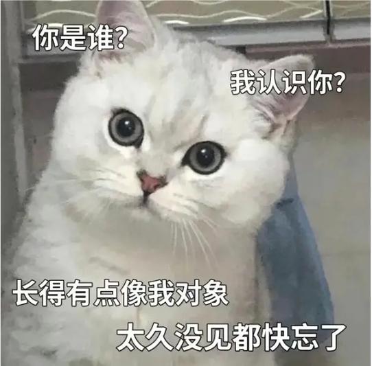 你是谁？ 我认识你？ 长得有点像我对象 太久没见都快忘了
