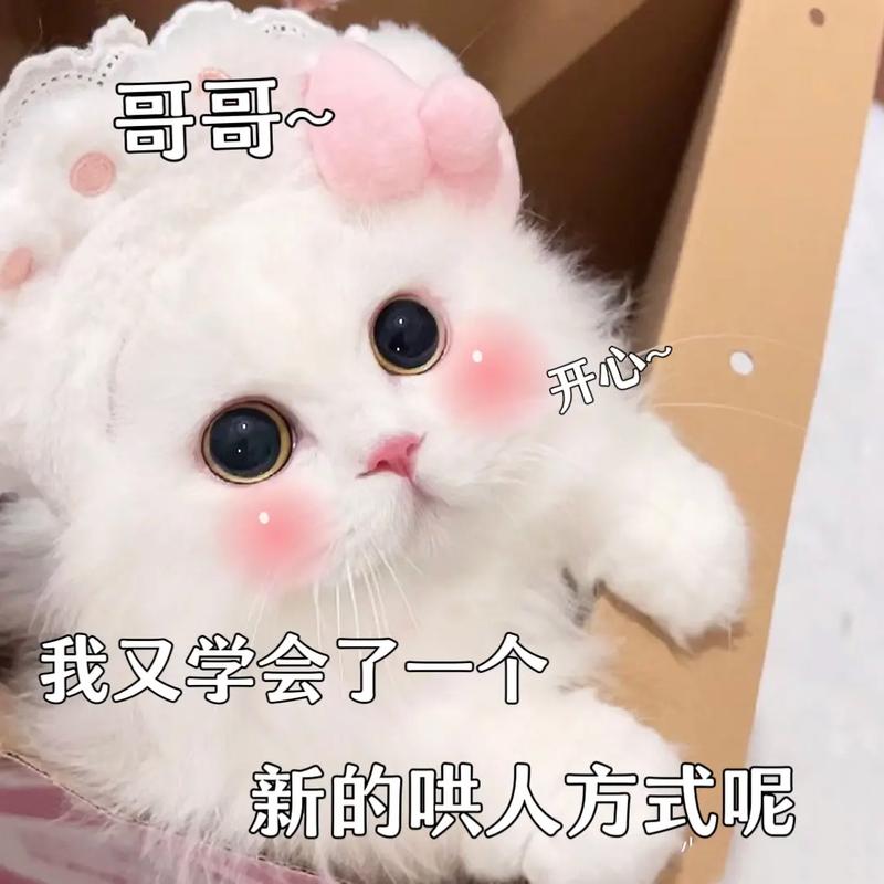 哥哥~ 我又学会了一个 新的哄人方式呢