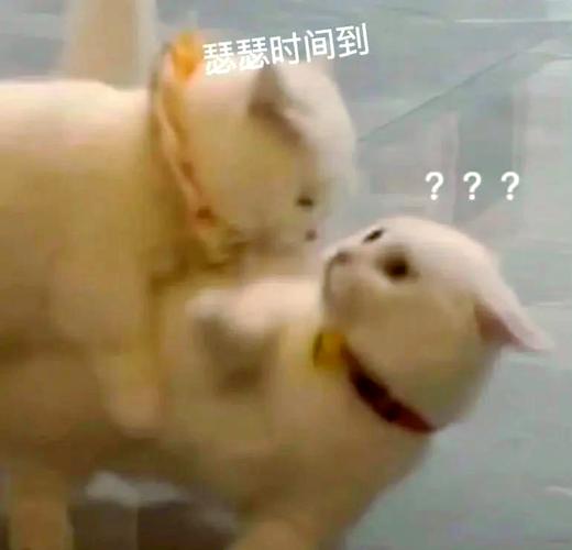 瑟瑟时间到