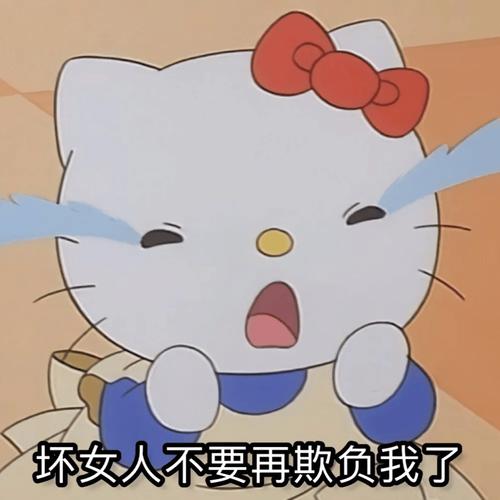 坏女人不要再欺负我了
