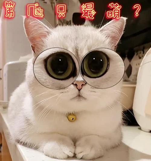 萌 興