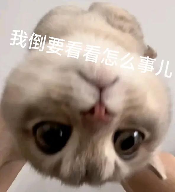 我倒要看看怎么事儿