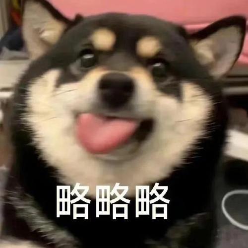 略略略