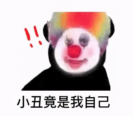 小丑竟是我自己