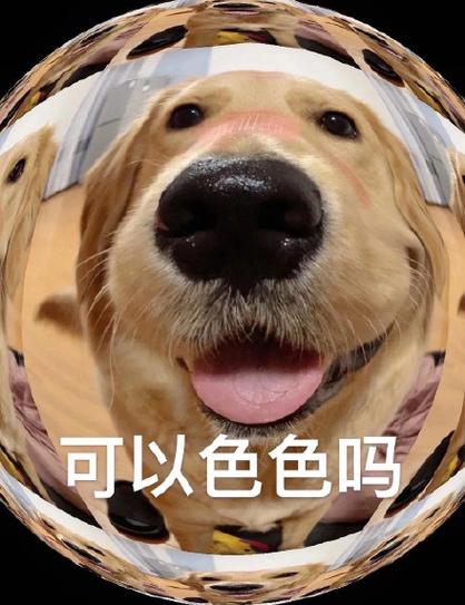 可以色色吗