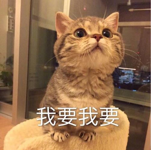 我要我要