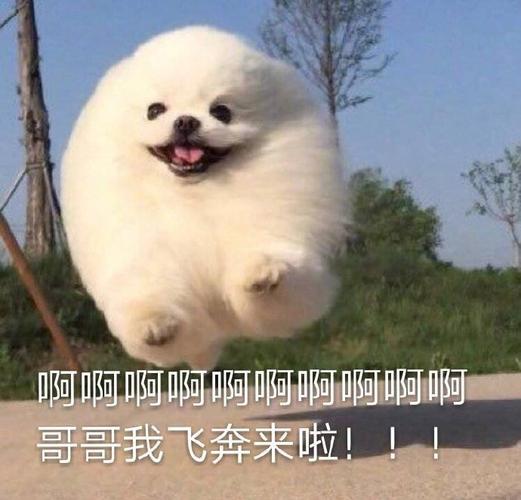呵呵啊啊啊啊啊啊啊啊啊 哥哥我飞奔来啦！