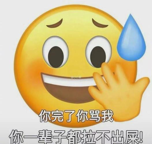 你完了你骂我 你一辈子都拉不出屎！