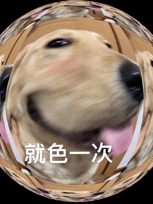 就色一次