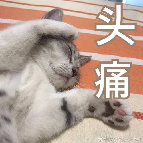 头痛