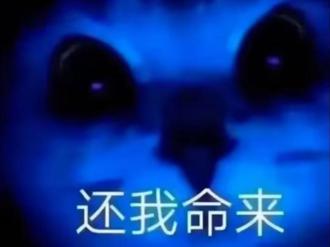 还我命来