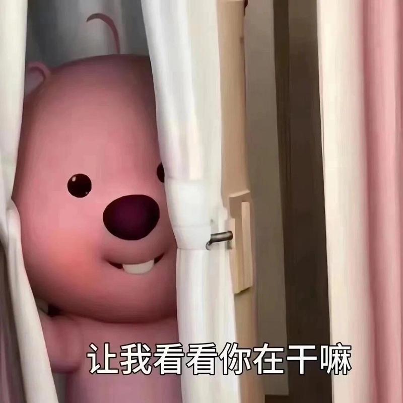 让我看看你在干嘛