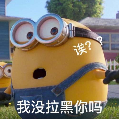 我没拉黑你吗