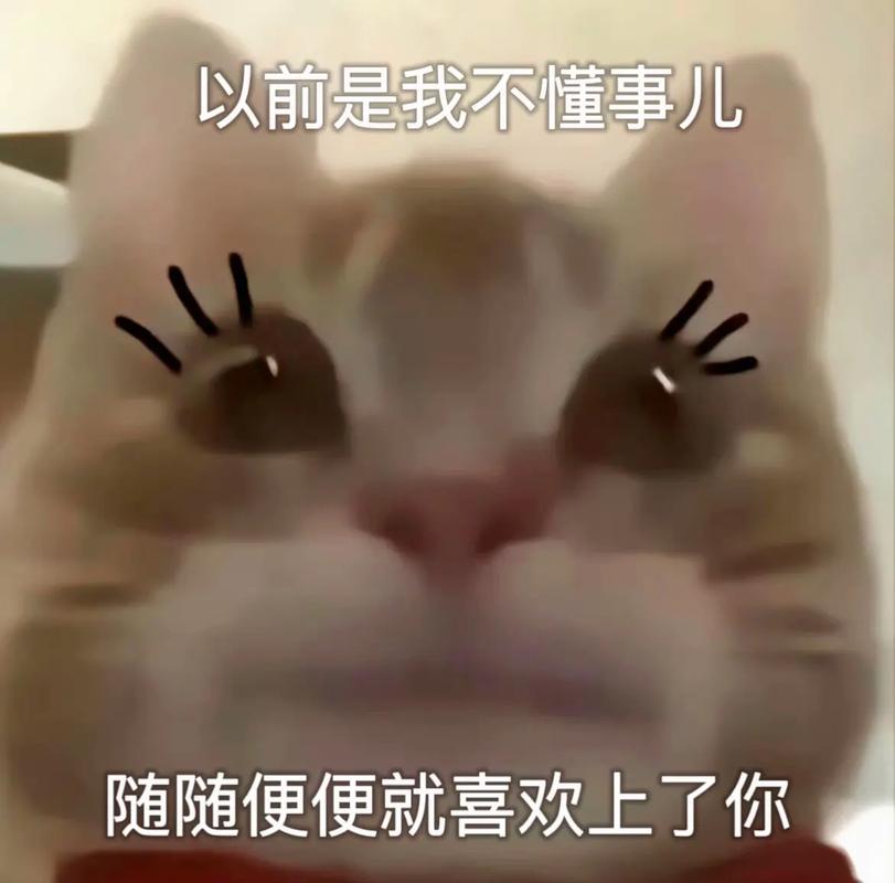 以前是我不懂事儿 随随便便就喜欢上了你
