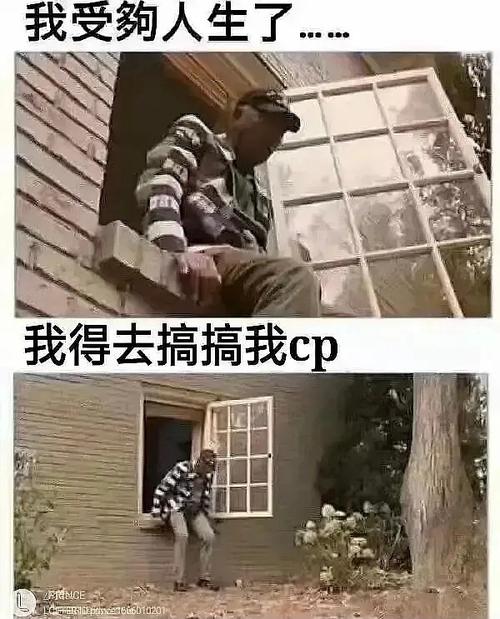 我受人生了 我得去搞搞我cp