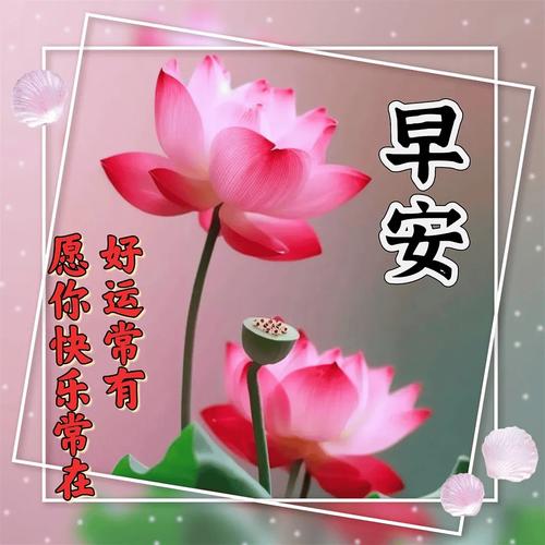 早安 好运常有 愿你快乐常在