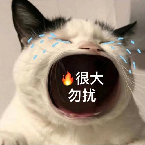 很大 勿扰