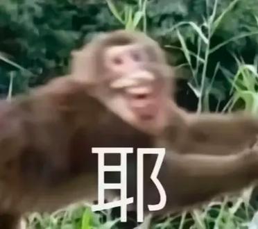 耶 罪