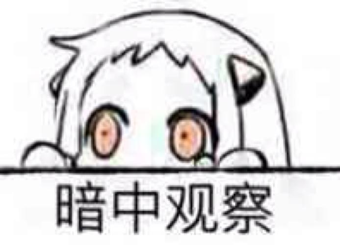 暗中观察