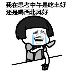 我在思考中午是吃土好 还是喝西北风好