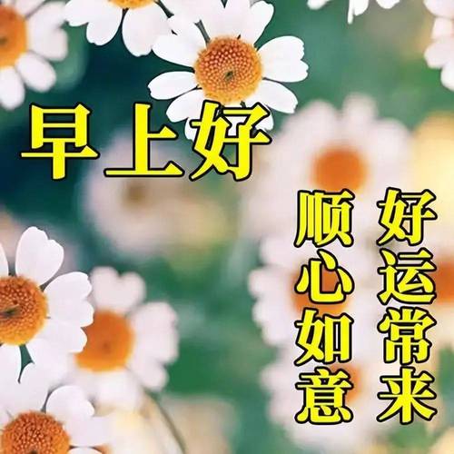 早上好 好运常来 顺心如意