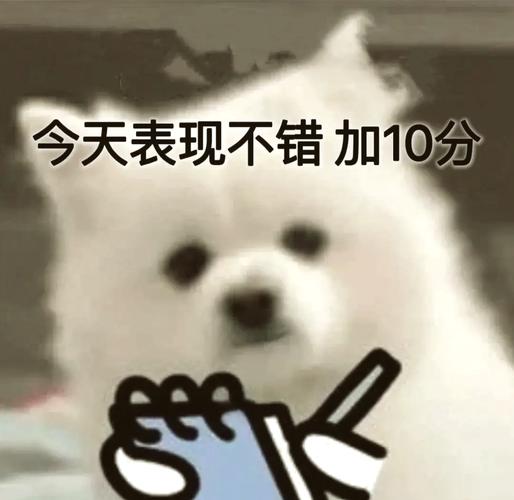 今天表现不错加10分