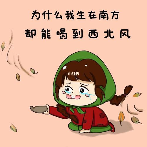 为什么我生在南方 却能喝到西北风 