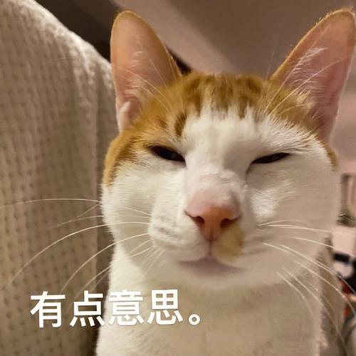 有点意思。