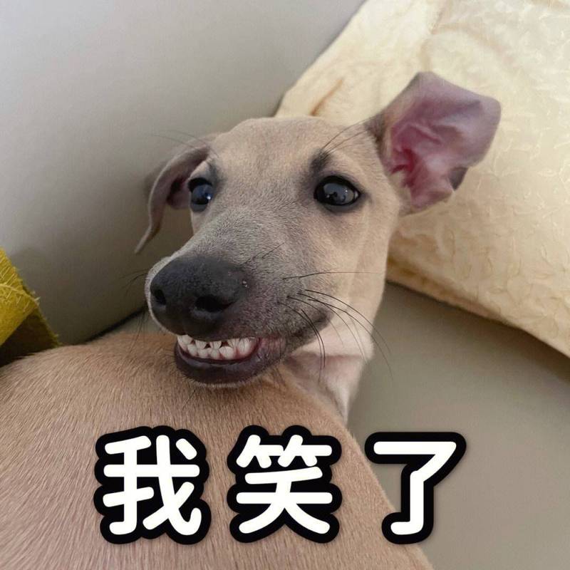 我笑了