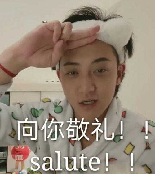 向你敬礼 salute!