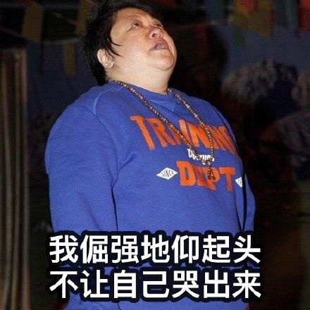 我倔强地仰起头 不让自己哭出来