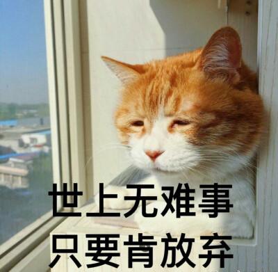 世上无难事 只要肯放弃