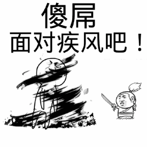 傻屌 面对疾风吧！