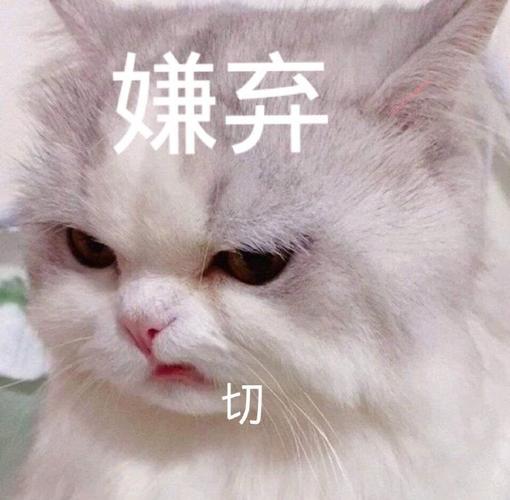 嫌弃 切