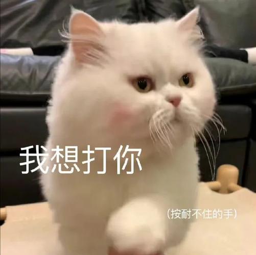 我想打你 （按耐不住的手）